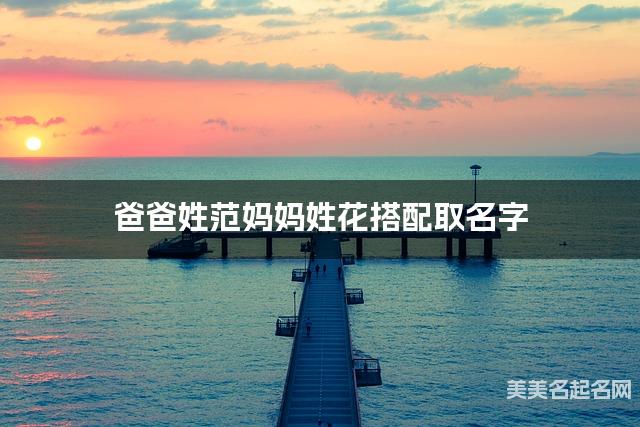 范花姓氏搭配取名，有气质的男孩名字案例