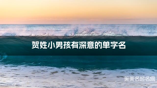 贺姓小男孩有深意的单字名  有灵气的宝宝单字名大全