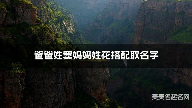 竇花姓氏搭配取名，有霛氣的女寶寶名字案例
