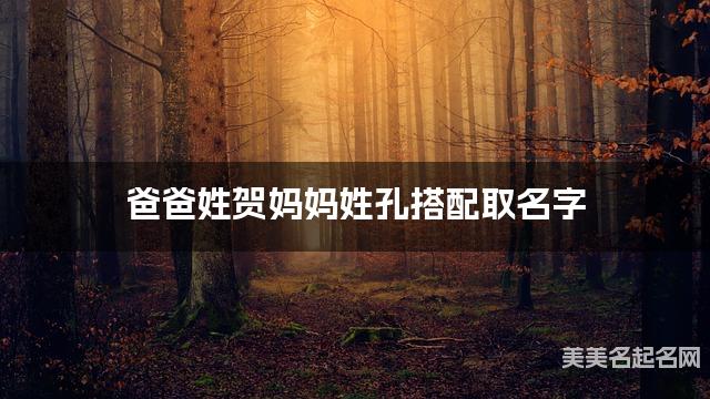 爸爸姓贺妈妈姓孔搭配取名字