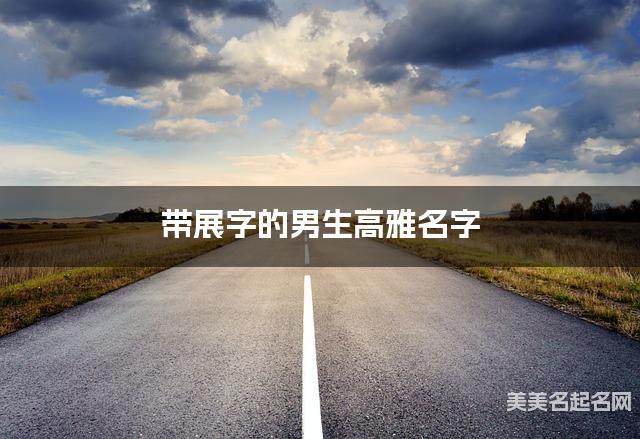 带展字的男生高雅名字
