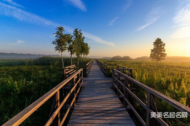 女孩取名：寓意不错的带耀字女孩名字大全