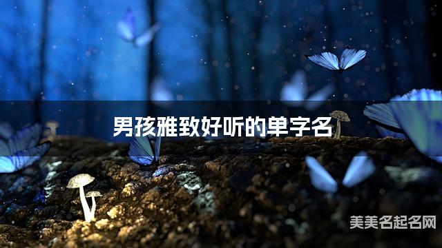 男孩雅致好听的单字名  有气质的宝宝单字名大全