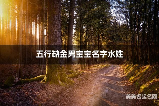 五行缺金男宝宝名字水姓 有新意的宝宝名字大全