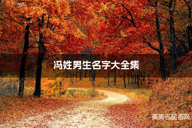 冯姓男生名字大全集（简单顺口300个）