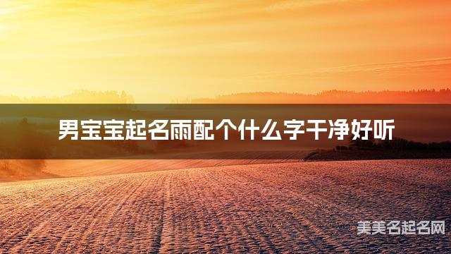 男宝宝起名雨配个什么字干净好听