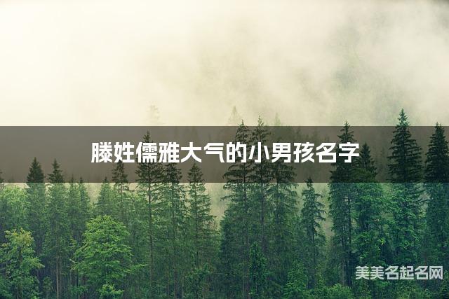 滕姓儒雅大氣的小男孩名字