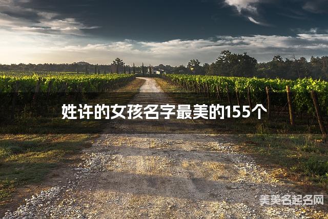 在线取名起名 姓许的女孩名字最美的155个