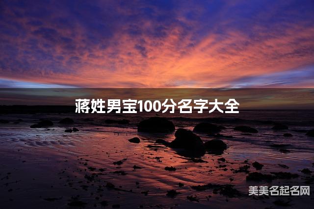 蒋姓男宝100分名字大全