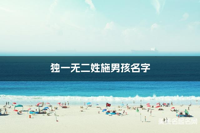 起名网免费取名神器 独一无二姓施男孩名字 起名网免费取名神器 独一无二姓施男孩名字