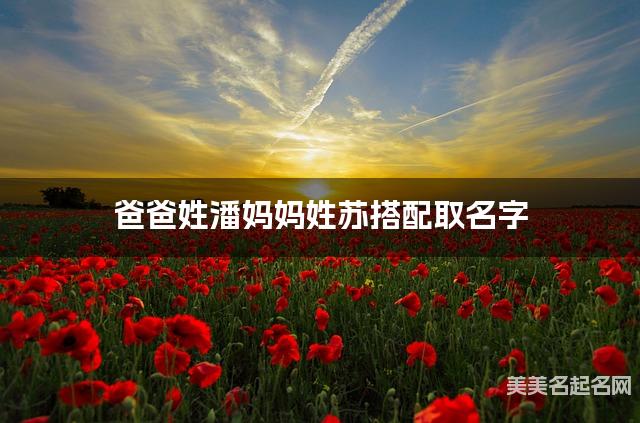 爸爸姓潘妈妈姓苏搭配取名字