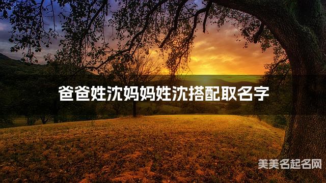 爸爸姓沈妈妈姓沈取名字 男宝朗朗上口的名字