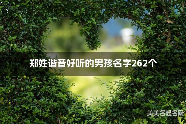 郑姓谐音好听的男孩名字262个