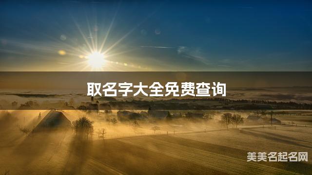 取名字大全免费查询 最有诗意的沈姓小男孩名字