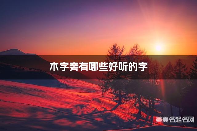 木字旁有哪些好听的字,木字旁的字男孩起名字