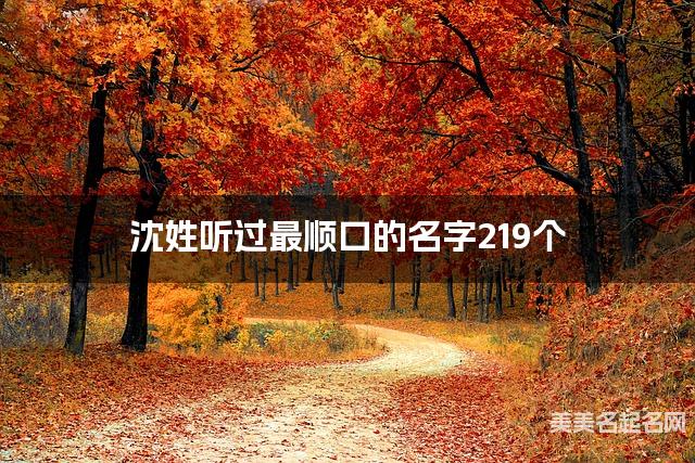 沈姓听过最顺口的名字219个