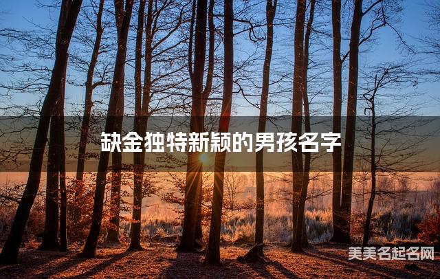 缺金独特新颖的男孩名字 有含义的宝宝名字大全 缺金独特新颖的男孩名字 有含义的宝宝名字大全
