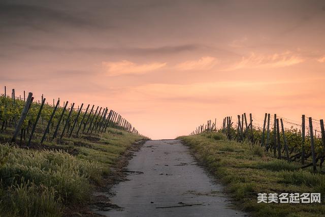 韩姓取名推荐：最好听简单大气的男生名字