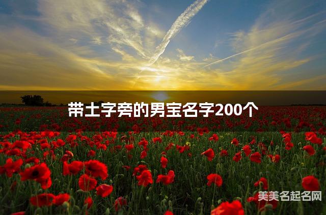 起名取名神器 带土字旁的男宝名字200个
