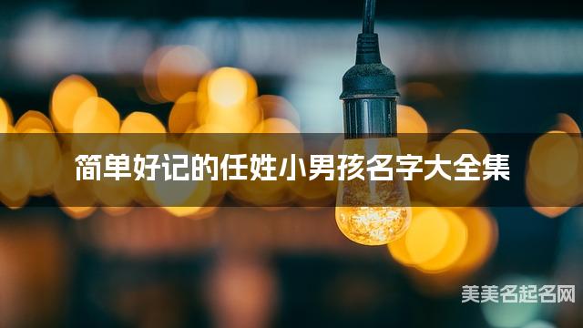 簡單好記的任姓小男孩名字大全集