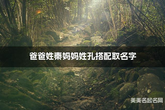 有灵气的女生名字，爸爸姓秦妈妈姓孔搭配取名