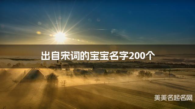出自宋词的宝宝名字200个