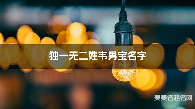取名字在线生成 独一无二姓韦男宝名字