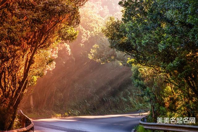 韩姓女宝宝起名有什么最吉祥的名字