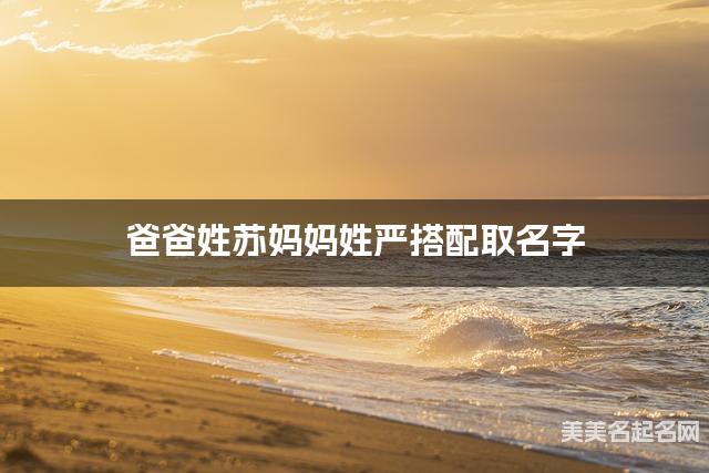 爸爸姓苏妈妈姓严取名字 男孩文雅好听的名字