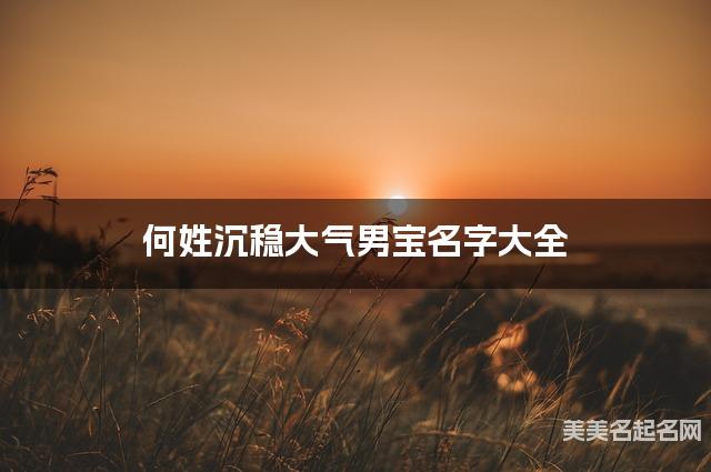 何姓沉稳大气男宝名字大全