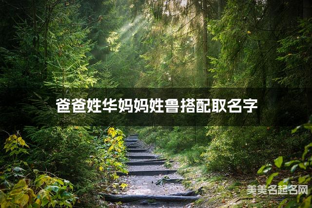 华鲁姓氏搭配取名，有气质的男生名字案例