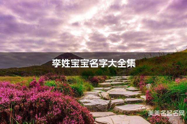李姓宝宝名字大全集（简单顺口300个）