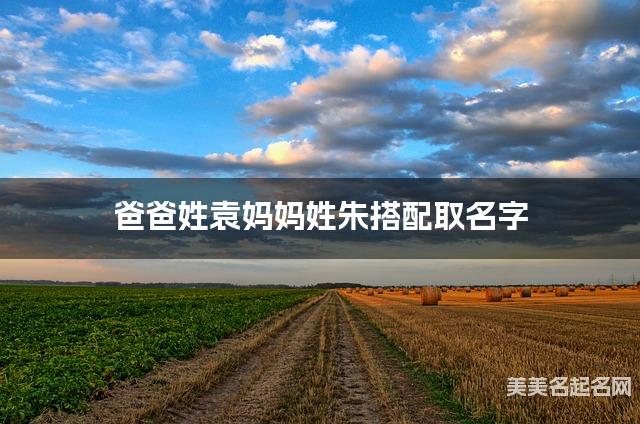 将袁姓和朱姓结合取名字，好听有创意的小男孩名字推荐