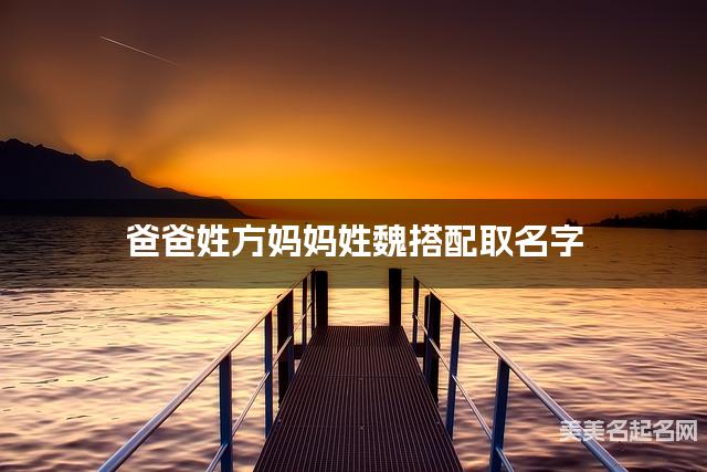 方魏姓氏搭配取名，有含义的男宝名字案例