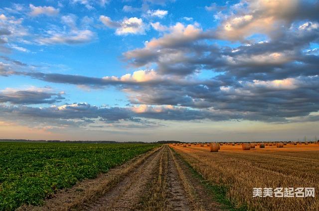 姓華兩個字獨特好聽的小男孩名字鋻賞