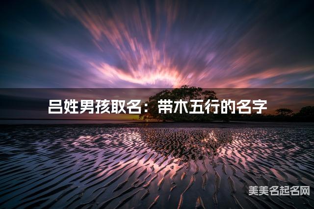 吕姓男孩取名:带木五行的名字(有灵气)