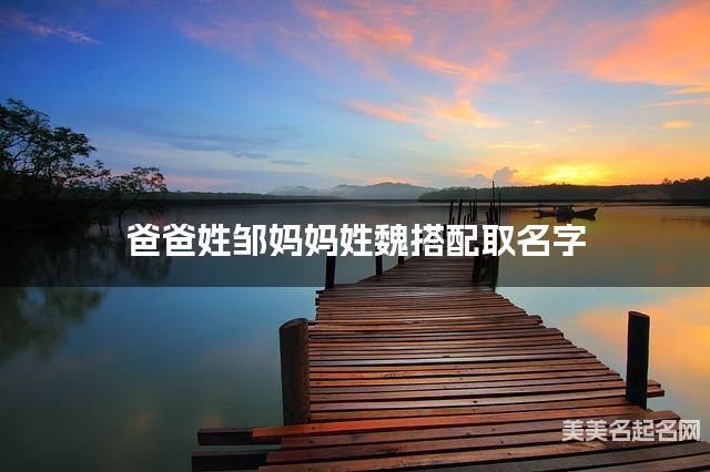 邹姓和魏姓搭配取名好听的男生名字有哪些