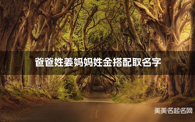 姜金姓氏搭配取名，有新意的男孩名字案例