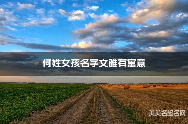 取名字在线生成 何姓女孩名字文雅有寓意