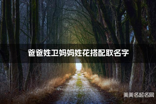 爸爸姓卫妈妈姓花搭配取名字