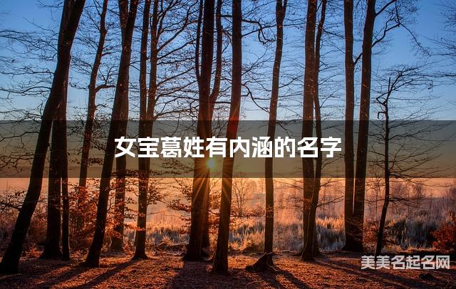 女宝葛姓有内涵的名字