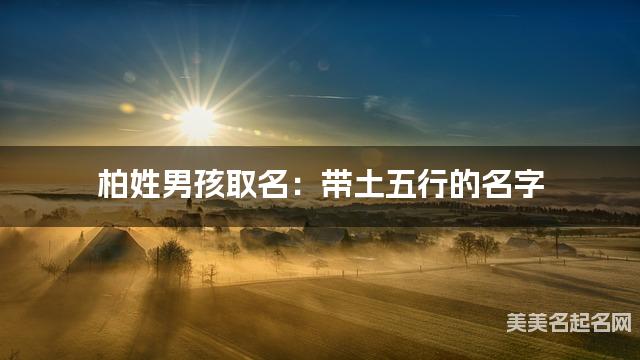 柏姓男孩取名:带土五行的名字(有创意)