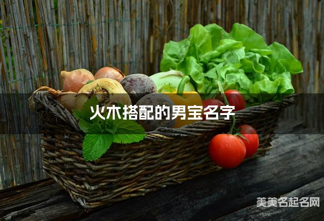 火木搭配的男宝名字 男宝儒雅大气的名字