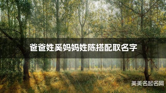 爸爸姓奚妈妈姓陈搭配取名字