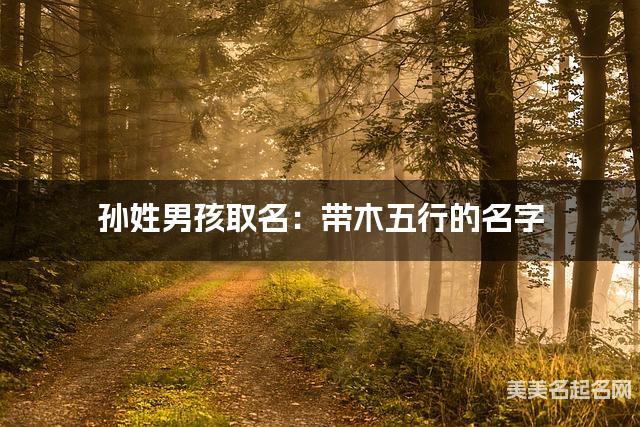 孙姓男孩取名:带木五行的名字(有灵气)