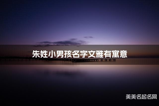 起名取名平台 朱姓小男孩名字文雅有寓意