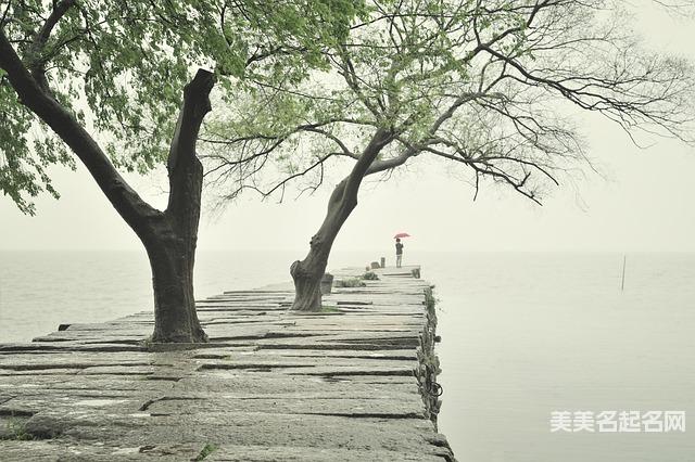 2025年小女孩可以从古诗中取什么名字