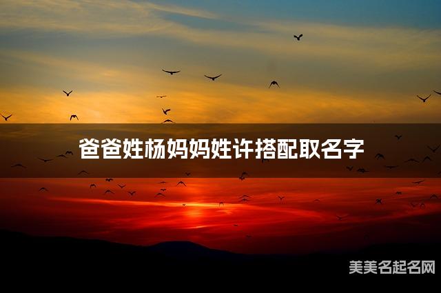 父母杨姓和许姓女生取名搭配推荐（高雅有涵养）