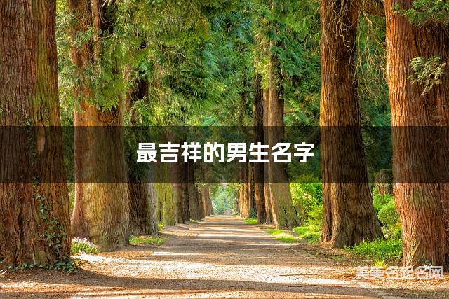 最吉祥的男生名字(有诗意204个)