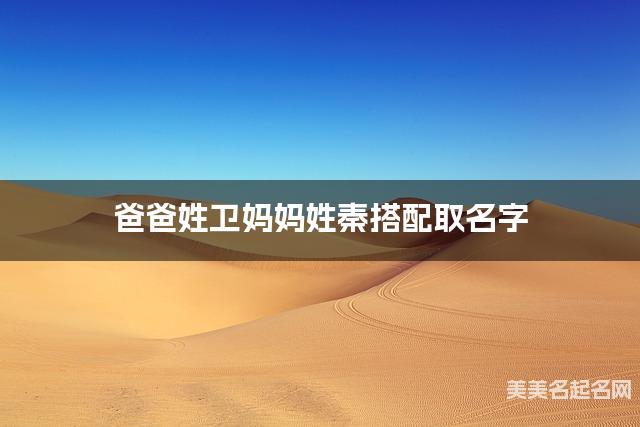 卫秦姓氏搭配取名，有灵气的男宝宝名字案例